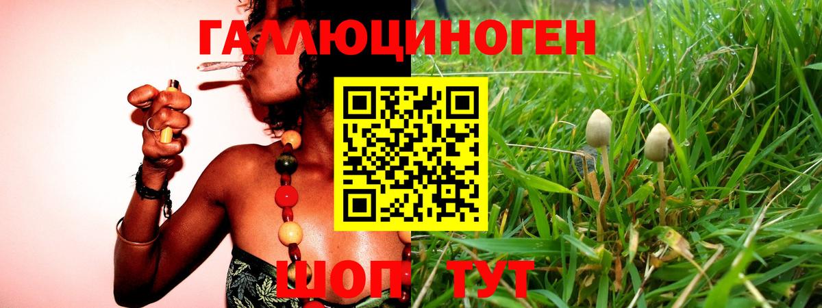 Коммунар  Псилоцибиновые грибы мухоморы  Галлюциногенные грибы прущие грибы  Вход с VPN 